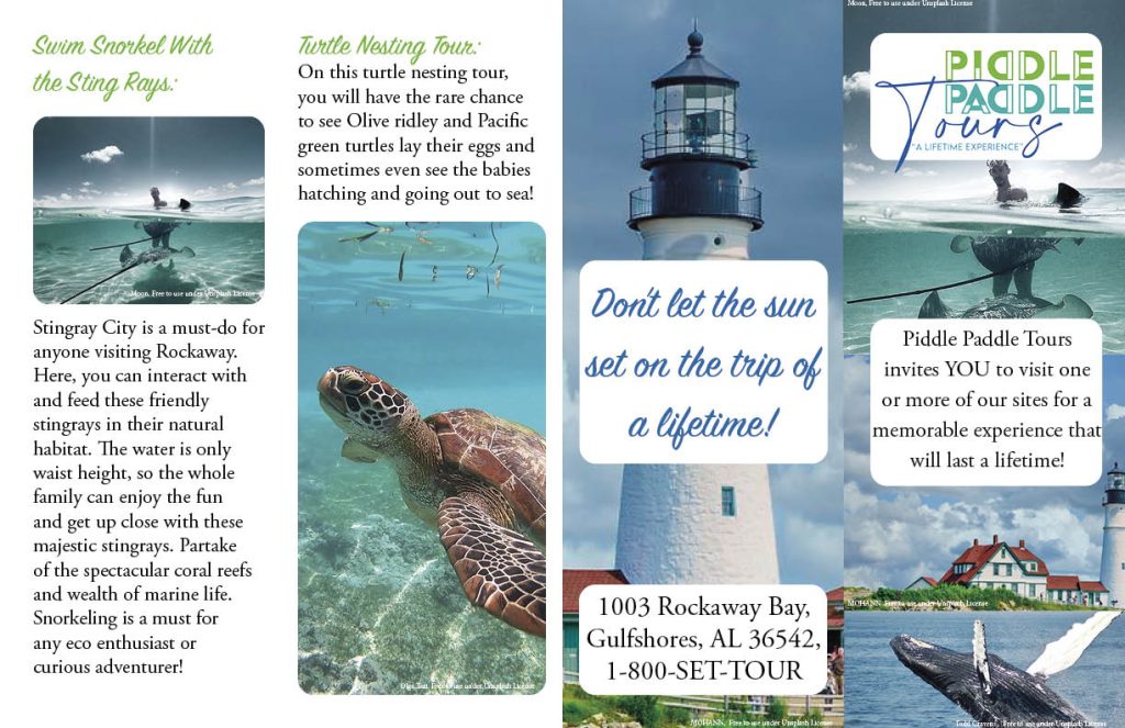 Piddle Paddle Tours pamphlet front with stingray and turtle tours